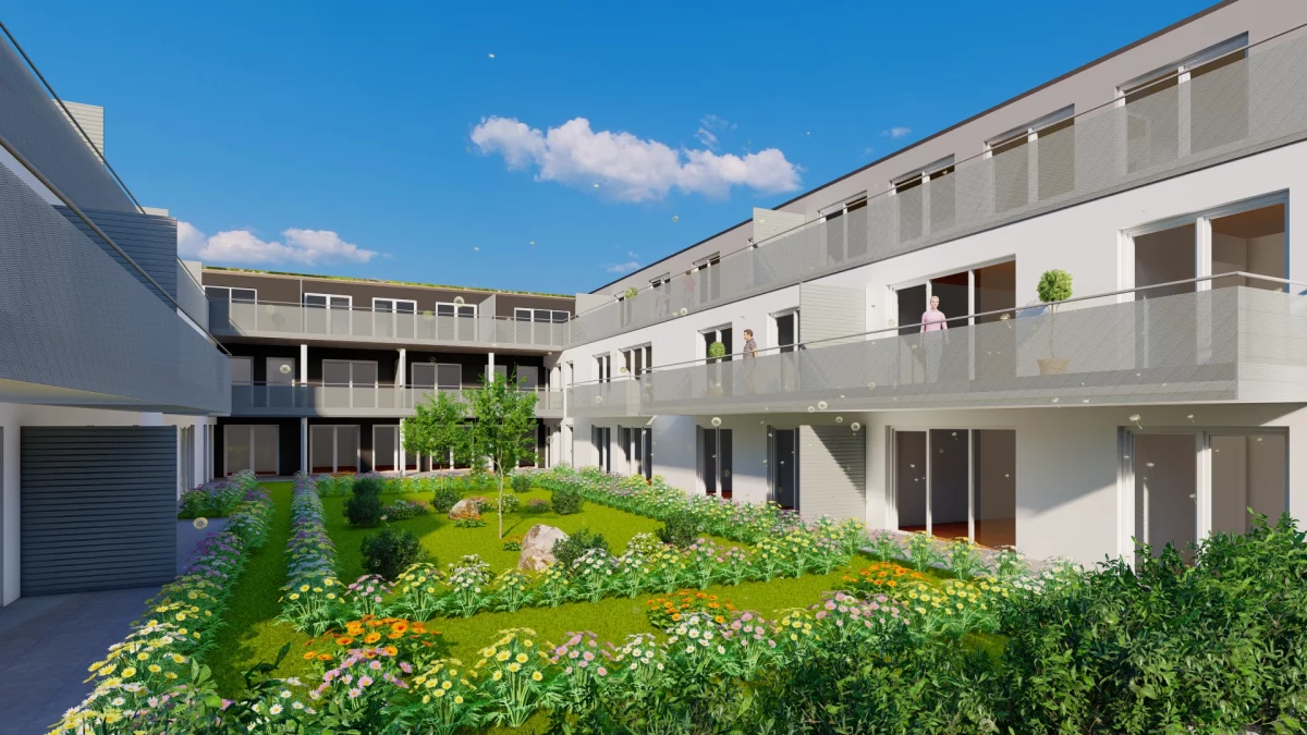 Cosmea Sachsen b. Ansbach