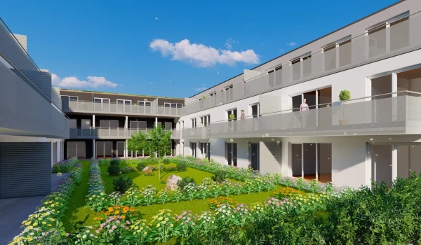 Cosmea Sachsen b. Ansbach